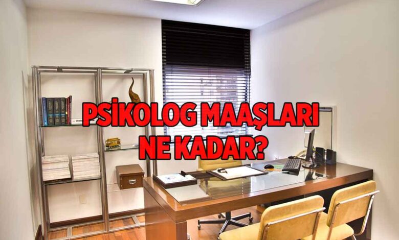 Özel Sektör Psikolog Maaşları